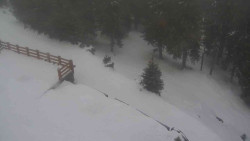 Přístup na běžeckou trať