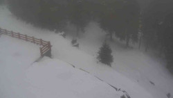 Přístup na běžeckou trať