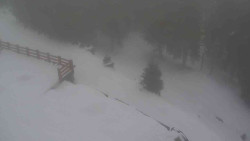 Přístup na běžeckou trať