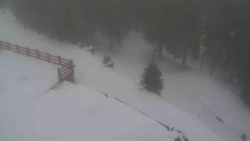 Přístup na běžeckou trať