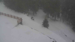 Přístup na běžeckou trať