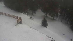 Přístup na běžeckou trať