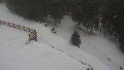 Přístup na běžeckou trať