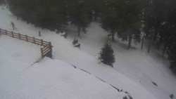 Přístup na běžeckou trať