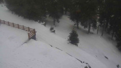 Přístup na běžeckou trať