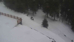 Přístup na běžeckou trať