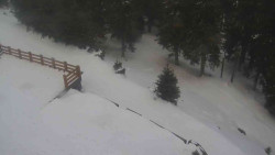 Přístup na běžeckou trať