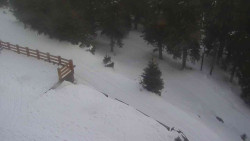 Přístup na běžeckou trať