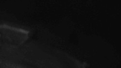 Přístup na běžeckou trať