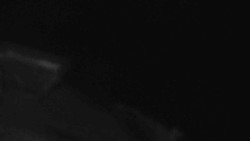 Přístup na běžeckou trať