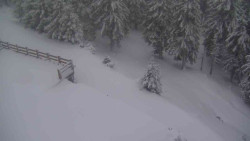 Přístup na běžeckou trať