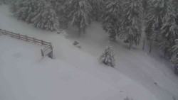 Přístup na běžeckou trať