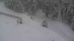 Přístup na běžeckou trať