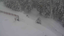 Přístup na běžeckou trať