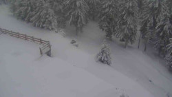 Přístup na běžeckou trať