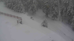 Přístup na běžeckou trať