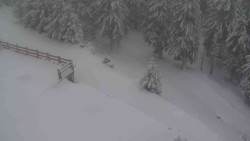 Přístup na běžeckou trať