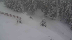 Přístup na běžeckou trať