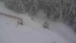 Přístup na běžeckou trať