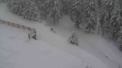 Přístup na běžeckou trať