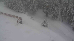 Přístup na běžeckou trať