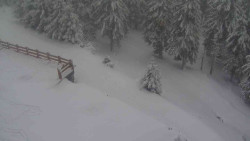 Přístup na běžeckou trať