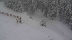 Přístup na běžeckou trať