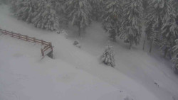 Přístup na běžeckou trať