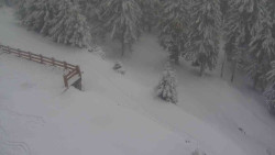 Přístup na běžeckou trať