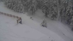 Přístup na běžeckou trať