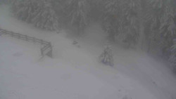 Přístup na běžeckou trať