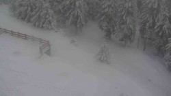 Přístup na běžeckou trať