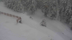 Přístup na běžeckou trať