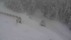 Přístup na běžeckou trať