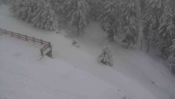 Přístup na běžeckou trať