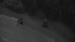 Přístup na běžeckou trať