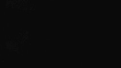 Přístup na běžeckou trať