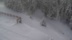 Přístup na běžeckou trať