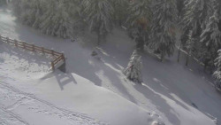 Přístup na běžeckou trať