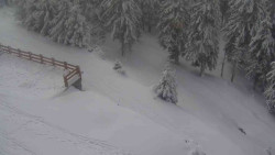 Přístup na běžeckou trať