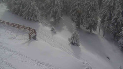 Přístup na běžeckou trať