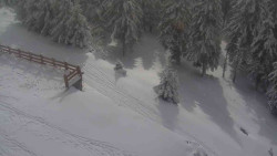 Přístup na běžeckou trať