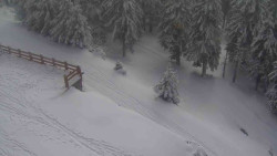 Přístup na běžeckou trať