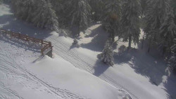 Přístup na běžeckou trať