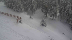 Přístup na běžeckou trať