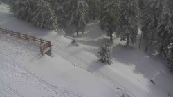 Přístup na běžeckou trať