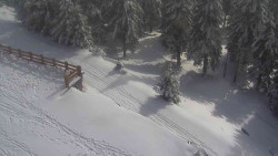 Přístup na běžeckou trať