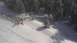 Přístup na běžeckou trať