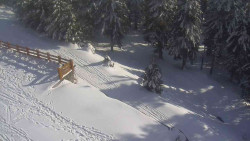 Přístup na běžeckou trať