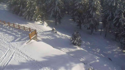 Přístup na běžeckou trať